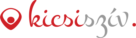 noivilag logo